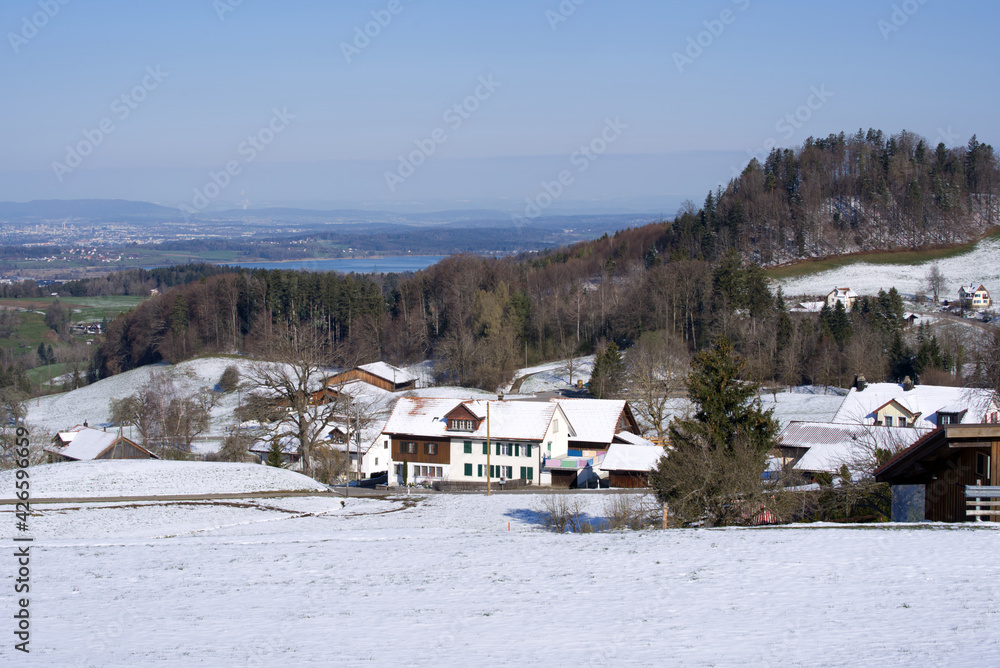 Panoramic landscape with lake Pfäffikon in the background, seen from mountain Bachtel. Photo taken April 8th, 2021, Zurich, Switzerland.
