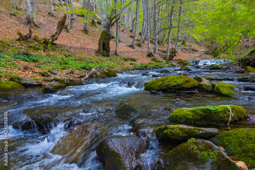 small river rushing in mountain canyon