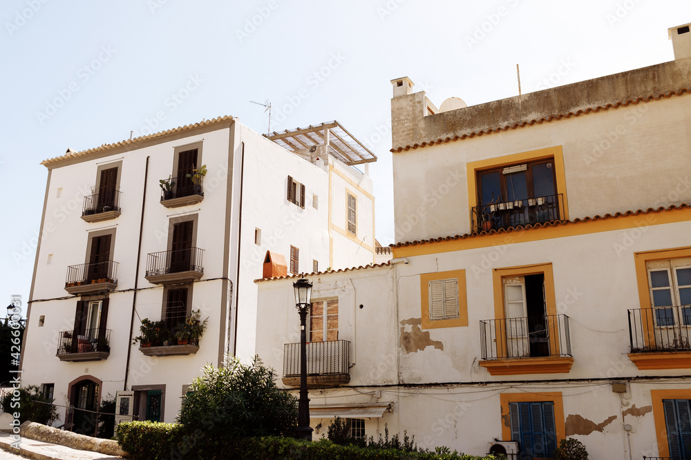 View of palm tree and white building against blue sky at the old town of Ibiza, Spain. Travel, mediterranean and vacation concept. Ibiza old town streets. 