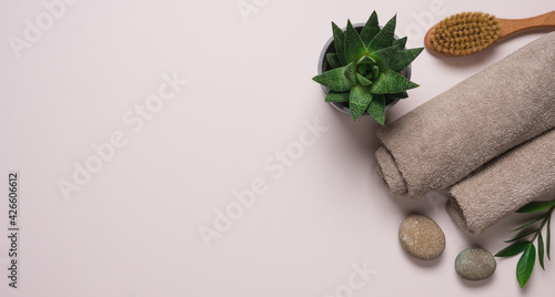 Spa concept with towels, massage brush, gray stones and succunlent plant. Pink pastel mono background