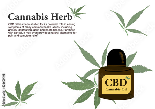 Cannabis herb for pure CBD oil extraction in medical treatment vector ep03