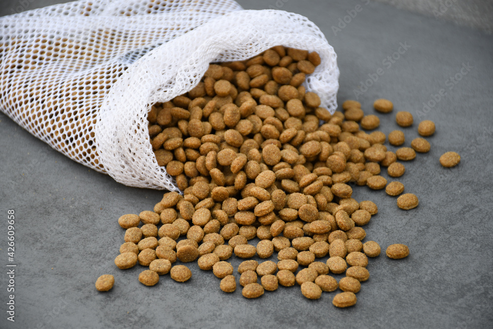 Dry food for a cat or dog in an eco bag on a gray background.
Buying products without packaging.Zero waste concept.