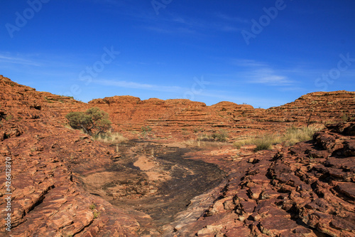 red rock canyon