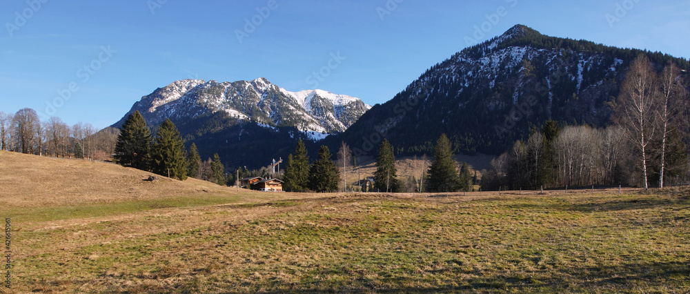 Blick über die teils grünen Weidefläche im südlichen Oberallgäu in einem schneearmen Winter