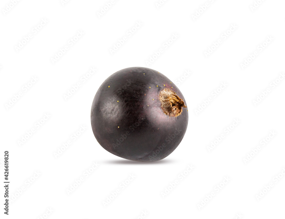 Black currant isolated on white background with clipping path Black currant isolated on white background with clipping path