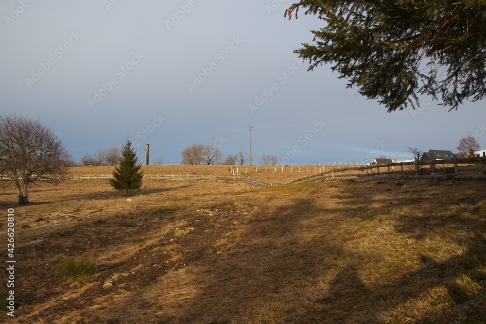 Obraz premium landscape in the mountains