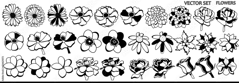Set of flowers in black and white colors. Vector rose, chamomile, wildflowers on a white background. 