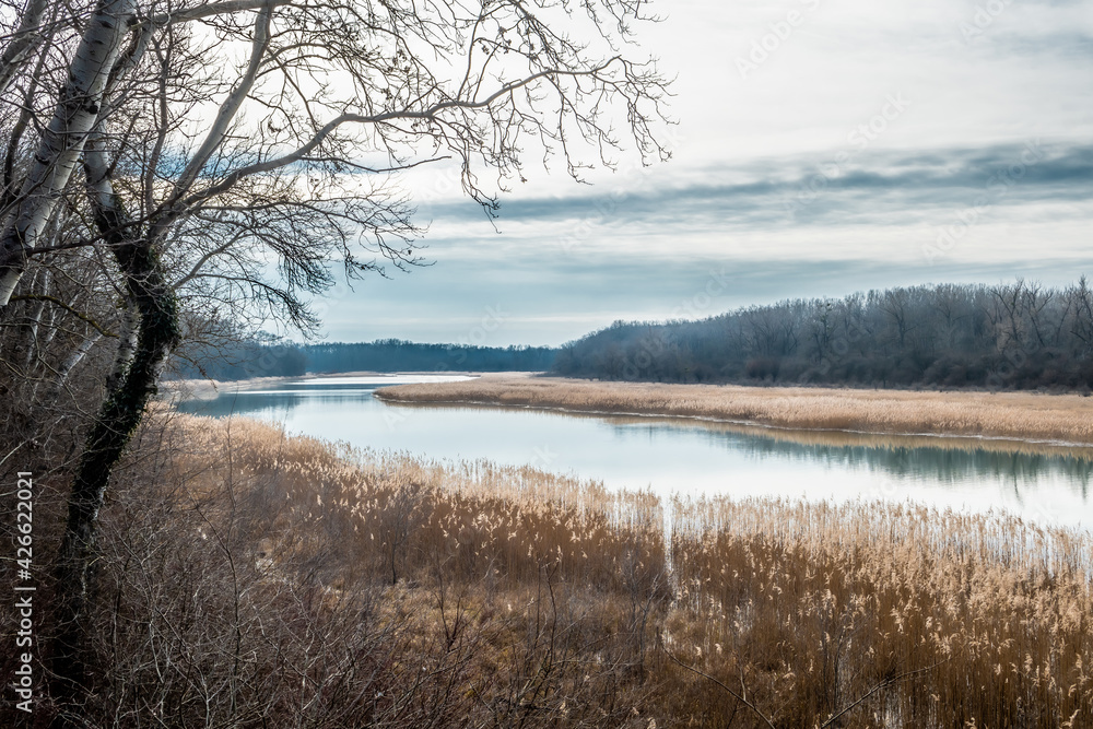 Scenic Landscape With Abandoned Meander In The National Park Danube Wetlands In Austria Scenic Landscape With Abandoned Meander In The National Park Danube Wetlands In Austria