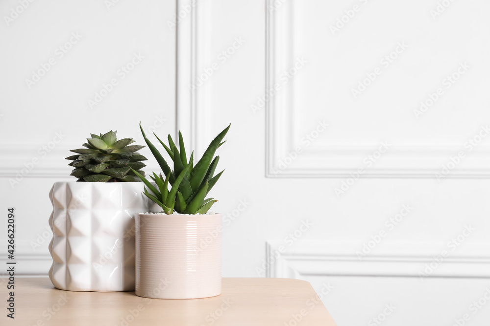 Beautiful Echeveria and Aloe in pots on wooden table, space for text. Different house plants Beautiful Echeveria and Aloe in pots on wooden table, space for text. Different house plants