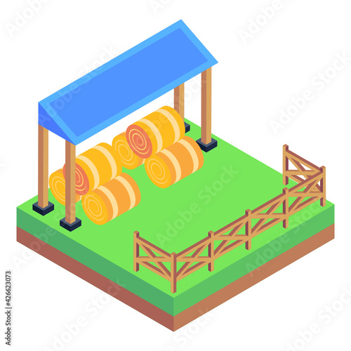 
Isometric icon of hay farm, hay bales in a farm

