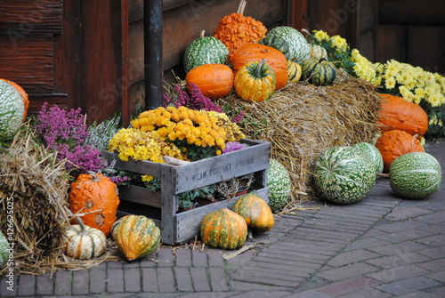 Décoration champêtre de courges et citrouilles