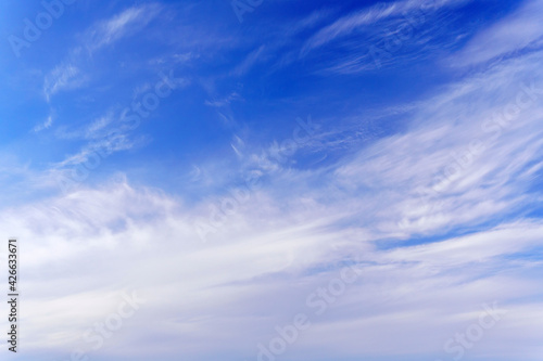 Fototapeta Naklejka Na Ścianę i Meble -  Air clouds in the blue sky. Blue backdrop in the air. Abstract style for text.
