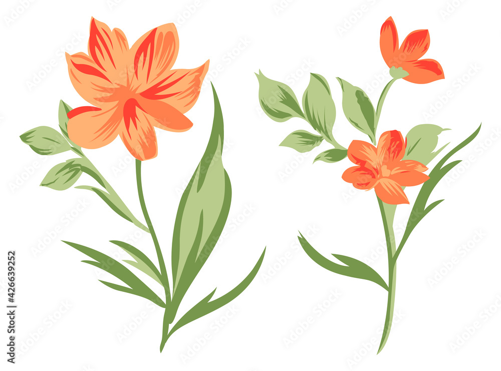 Tropical flowers, beautiful Colorful flower set, branch with leaves, floral jungle set isolated on white background. Hand drawn art elements. Flower vector art illustration. Exotic botanical print. Tropical flowers, beautiful Colorful flower set, branch with leaves, floral jungle set isolated on white background. Hand drawn art elements. Flower vector art illustration. Exotic botanical print.