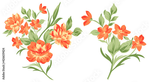 Tropical flowers, beautiful Colorful flower set, branch with leaves, floral jungle set isolated on white background. Hand drawn art elements. Flower vector art illustration.  Exotic botanical print.