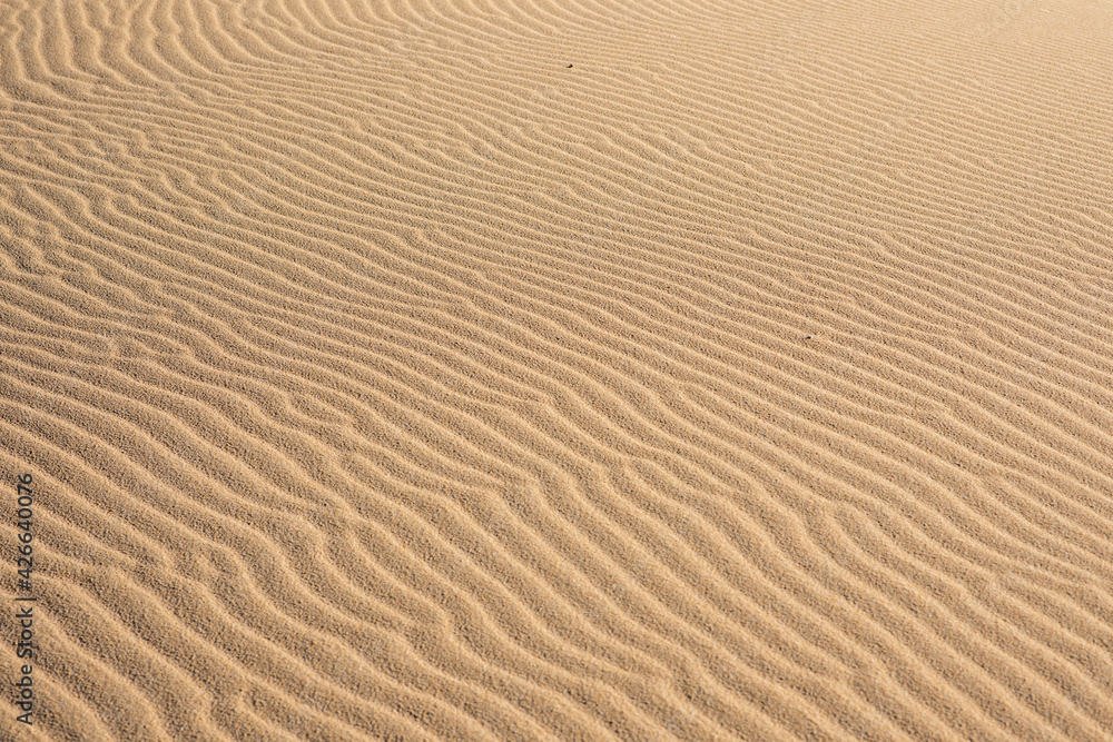 Close up shot of pattern in sand dunes Close up shot of pattern in sand dunes