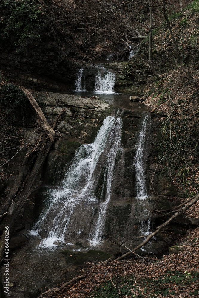Obraz premium National Park and mountain river in the gorge with crystal clear clear ice water. Small cascading waterfall in the forest.