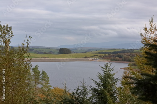 lake seen from the woods
