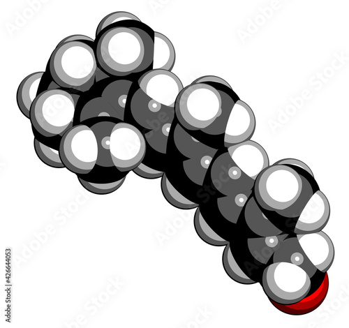 Retinyl palmitate vitamin supplement molecule. Ester of vitamin A (retinol) and palmitic acid. 3D rendering. Atoms are represented as spheres with conventional color coding