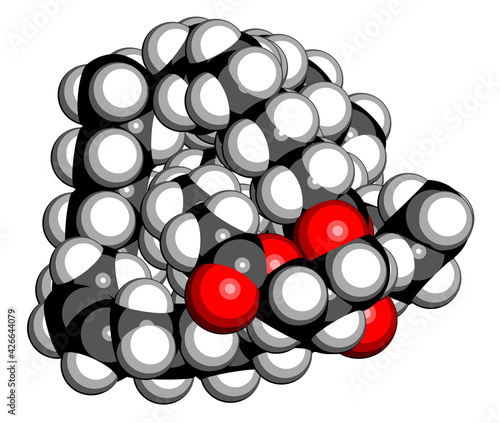 Olive oil triglyceride. Example of an olive oil triglyceride, containing 3 oleic acid moieties (glyceryl trioleate). 3D rendering. Atoms are represented as spheres with conventional color coding
