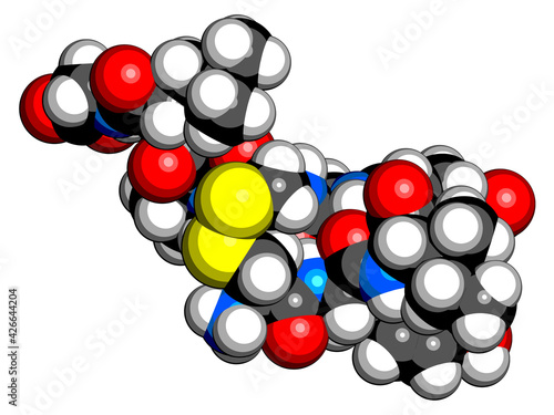 Oxytocin hormone molecule.  3D rendering. Atoms are represented as spheres with conventional color coding: hydrogen (white), carbon (black), oxygen (red), nitrogen (blue), sulfur (yellow).