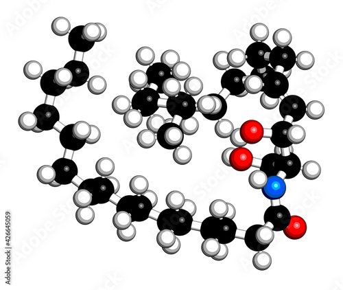 Ceramide cell membrane lipid molecule. 3D rendering. Atoms are represented as spheres with conventional color coding