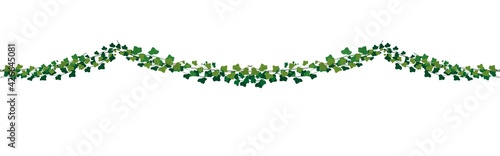 green botanical garland with ivy branches. Vector illustration.