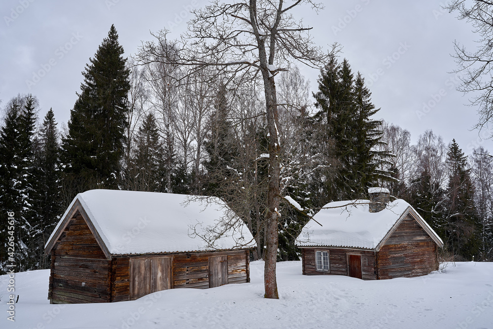 Norwegian homestead.