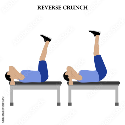 Reverse crunch exercise strength workout vector illustration