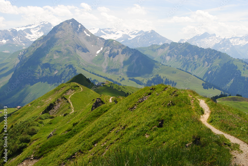 Chemin de randonnée, Rinderberg, alpes Suisses, Simmental