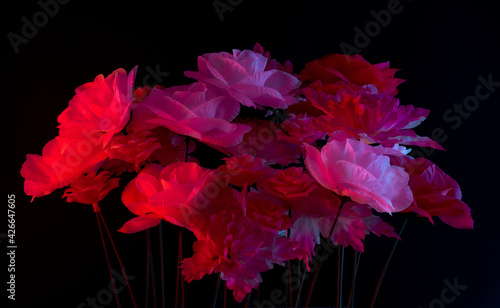 creative fluorescent color layout decoration made of fresh rosess. flat lay neon colors. nature concept.