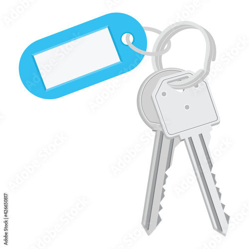 Bunch of keys with keychain and tag isolated on white background