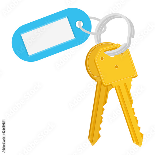 Bunch of keys with keychain and tag isolated on white background