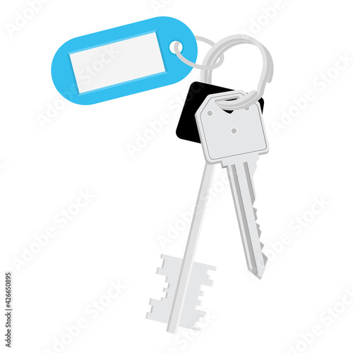 Bunch of keys with keychain and tag isolated on white background