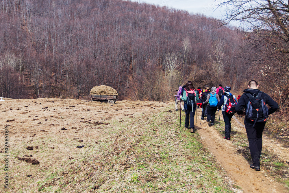 Hiking Group Of People Walking In Nature