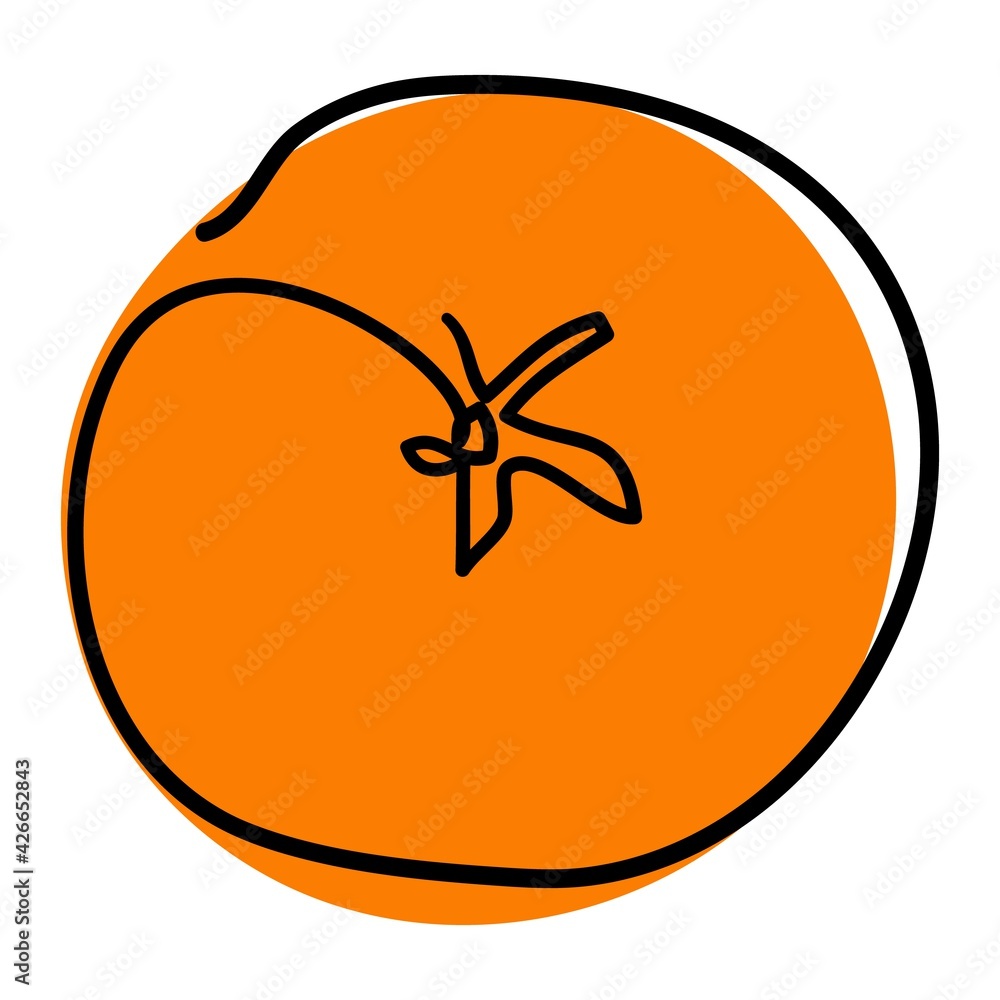 Drawn continuous line from orange. Simple isolated drawing of fruit. One line. A whole orange. Simple doodle illustration.