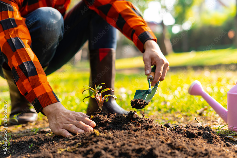 Fototapeta premium World environment day afforestation nature and ecology concept The hands of a young male volunteer are planting seedlings and trees growing in the ground while working to save the Earth on Earth Day.