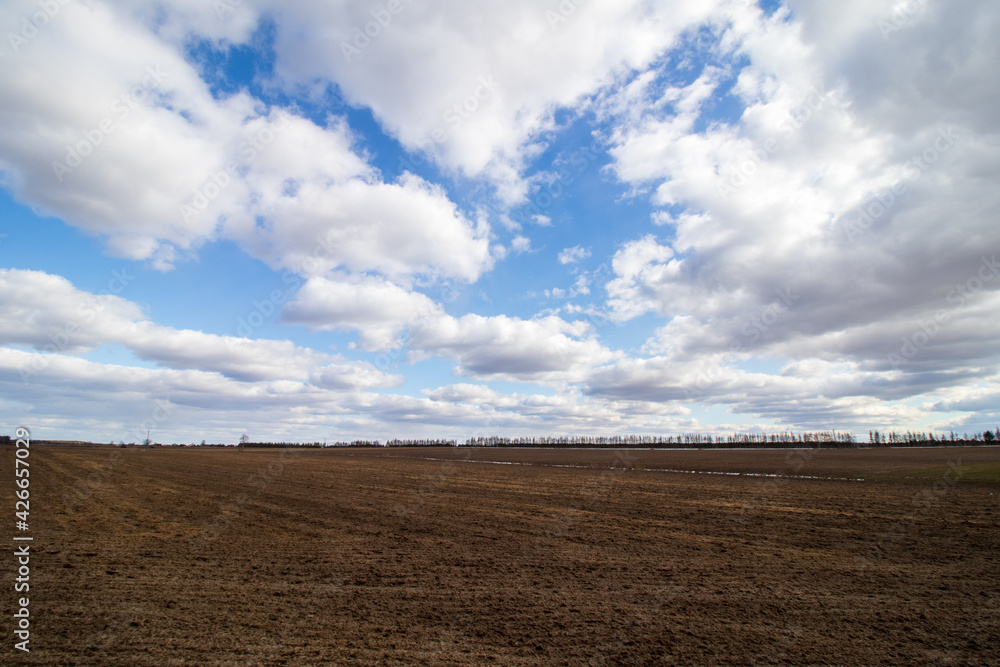 field and sky with clouds