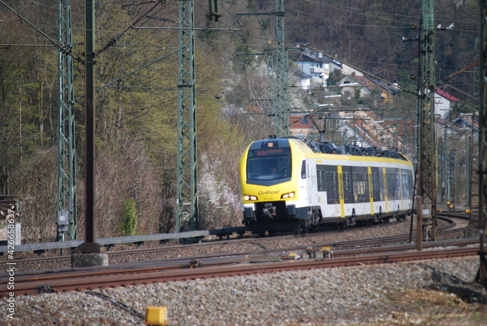 Naklejka premium Zug in Pfulingen