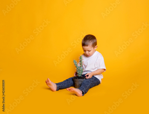a child in jeans and a white T-shirt looks at a cactus in a pot