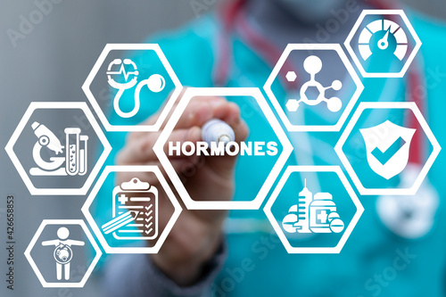Medical concept of hormones. Hormonal therapy. Human health - hormone balance. photo