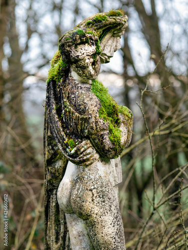 Photography Ancient female sculpture in the forest overgrown by moss