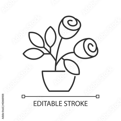 Rose bushes linear icon. Planting beutiful plants in home garden. Big flower farm with fields. Thin line customizable illustration. Contour symbol. Vector isolated outline drawing. Editable stroke