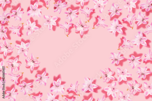 Pink hyacinth flower with shadows and heart shape blank space on pastel pink background. Valentine day and love backdrop.