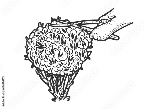 Gardener trims the bush sketch engraving vector illustration. T-shirt apparel print design. Scratch board imitation. Black and white hand drawn image.