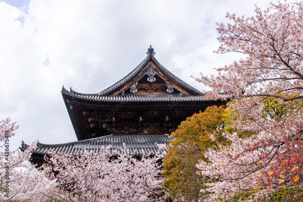 Ancient Golden Hall (Kondo) with Cherry Blossom in Toji in spring season. To-ji is a Shingon Buddhist temple found in 796 in the Minami-ku ward of Kyoto, Japan. Ancient Golden Hall (Kondo) with Cherry Blossom in Toji in spring season. To-ji is a Shingon Buddhist temple found in 796 in the Minami-ku ward of Kyoto, Japan.