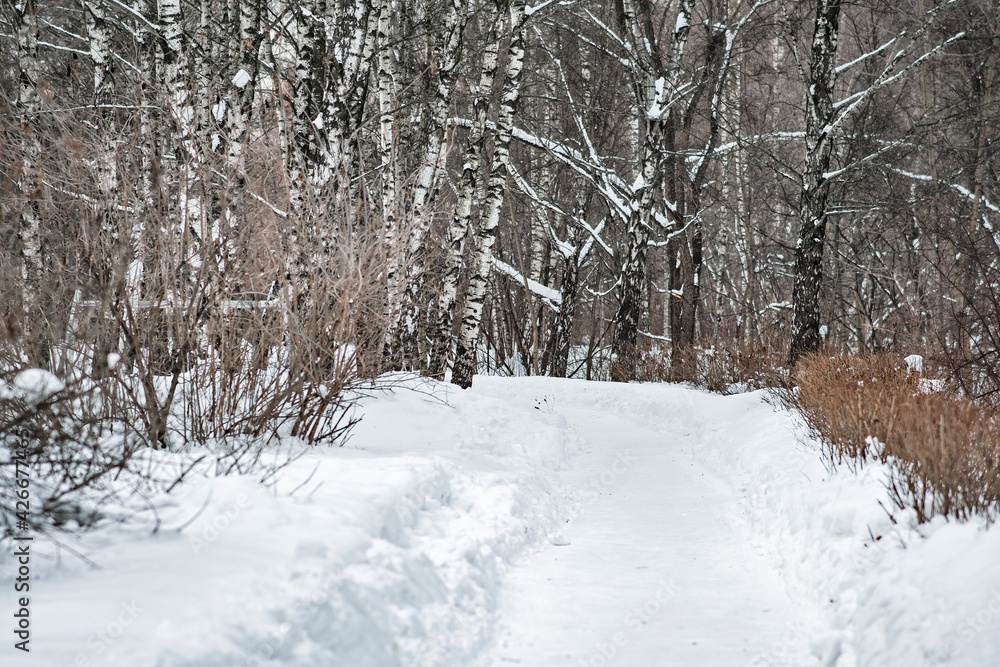 Snow-covered path for walking in the winter park. An empty pedestrian road surrounded by snow-covered trees. Snow-covered path for walking in the winter park. An empty pedestrian road surrounded by snow-covered trees.