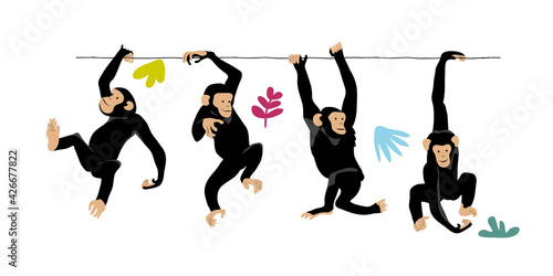 Photography Funny Cartoon Monkey Characters