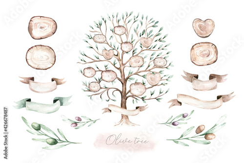 Watercolor Genealogical Family tree. Watercolor children's tree botanical season isolated illustration. olive, oak and cypress. Green forest ecology branch and leaves. photo