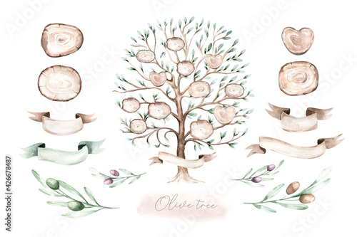 Fotografie Watercolor Genealogical Family tree