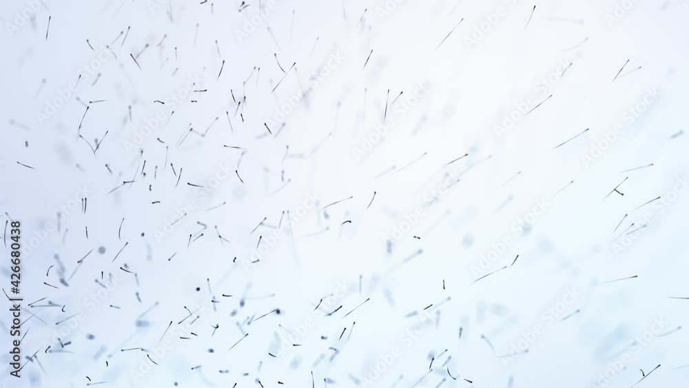 movement of particles in space. abstract spermatozoon cells on white background movement of particles in space. abstract spermatozoon cells on white background